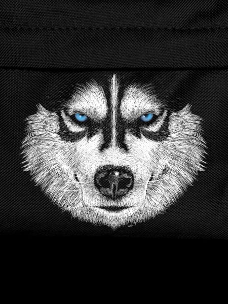 Husky