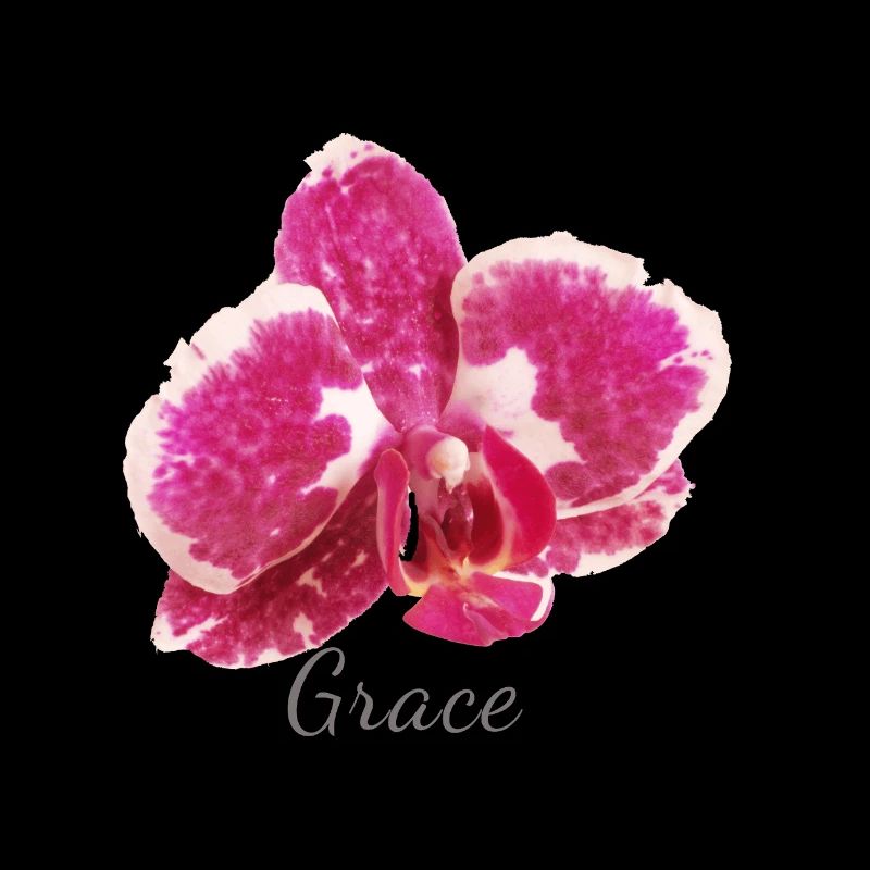 Bordeaux Orchid Macro - Grace Elegance
