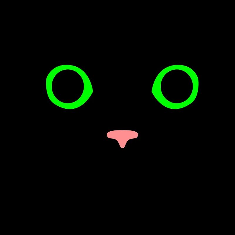 Cat eyeglasses