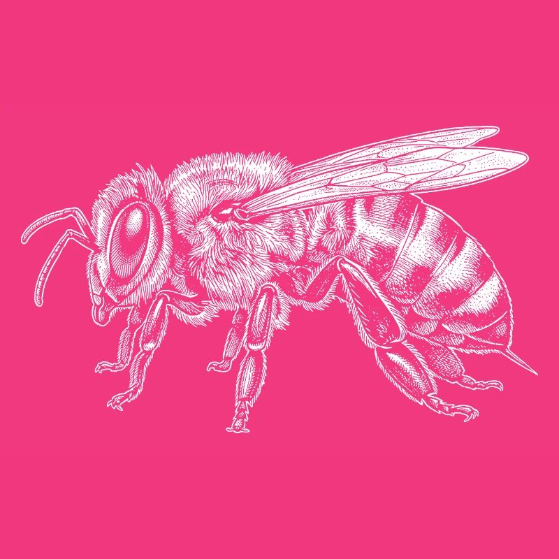 abeille
