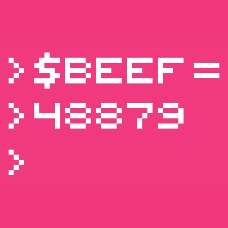 BEEF 8-Bit Code Nerd Pixel Terminal Retro