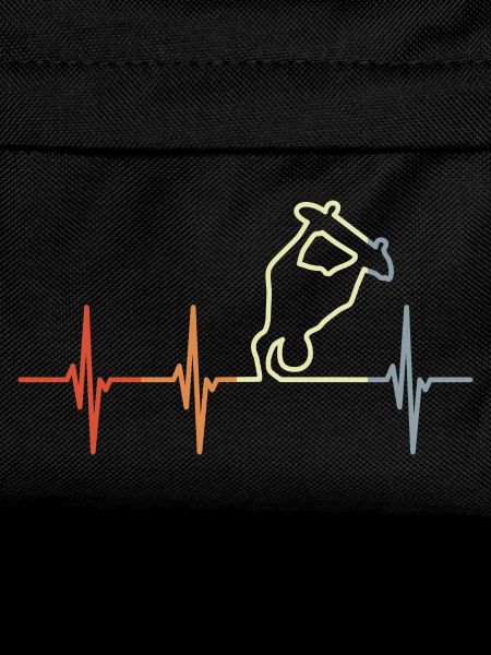 Skateboarder Cardiogram