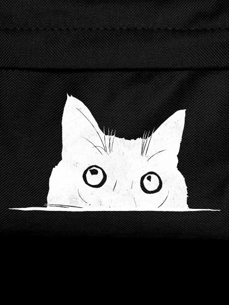 Peeping Cat