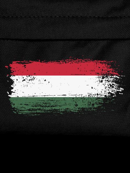 Hungarian Brush Flag