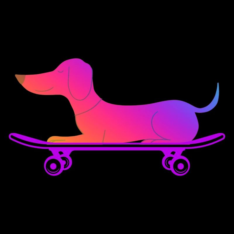 Dackel mit Skateboard