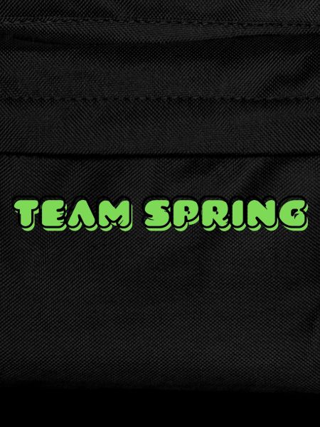 TEAM SPRING