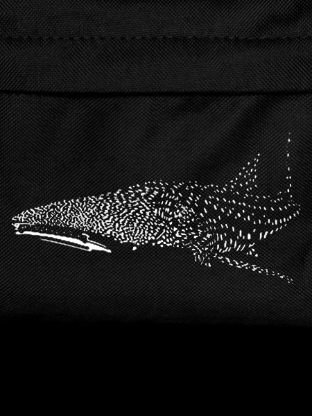 Whale shark