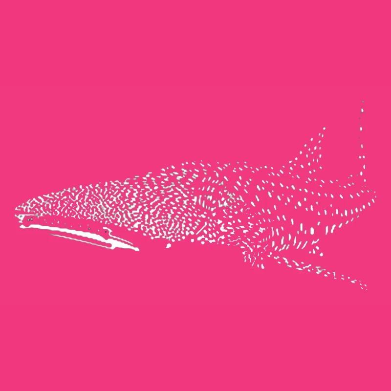 Requin-baleine