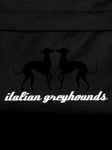 Italian Greyhound