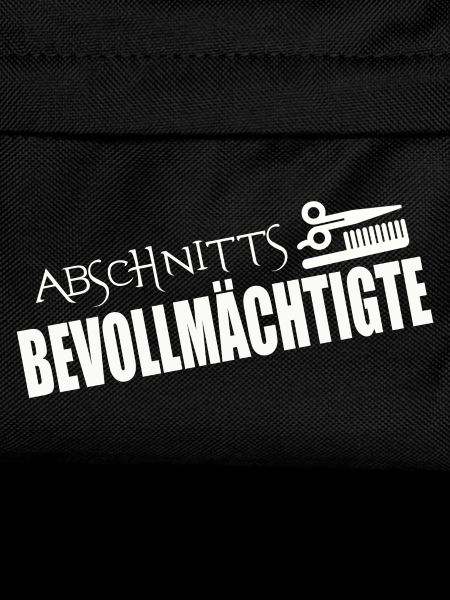 ABSCHNITTSBEVOLLMÄCHTIGTE