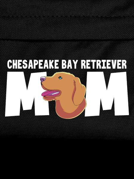 Chesapeake Bay Retriever