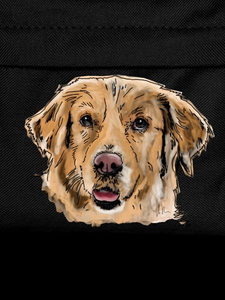 Golden Retrievers