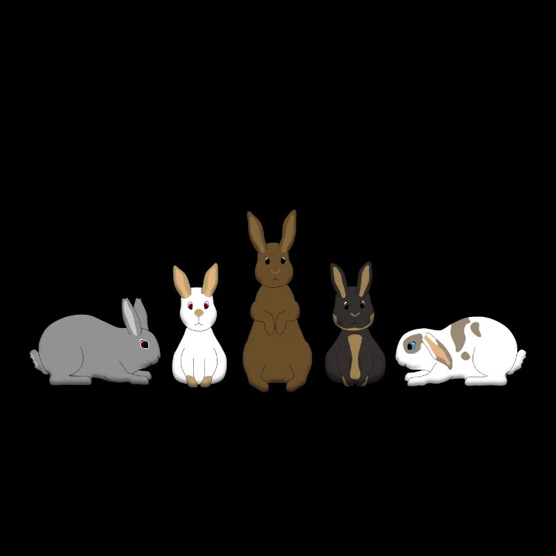 5 Rabbits