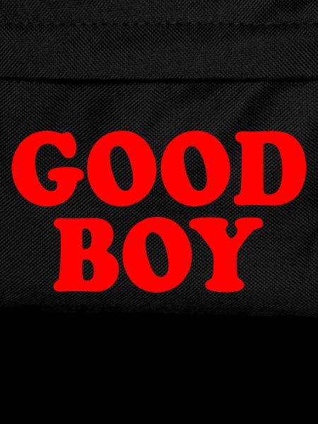 Good boy