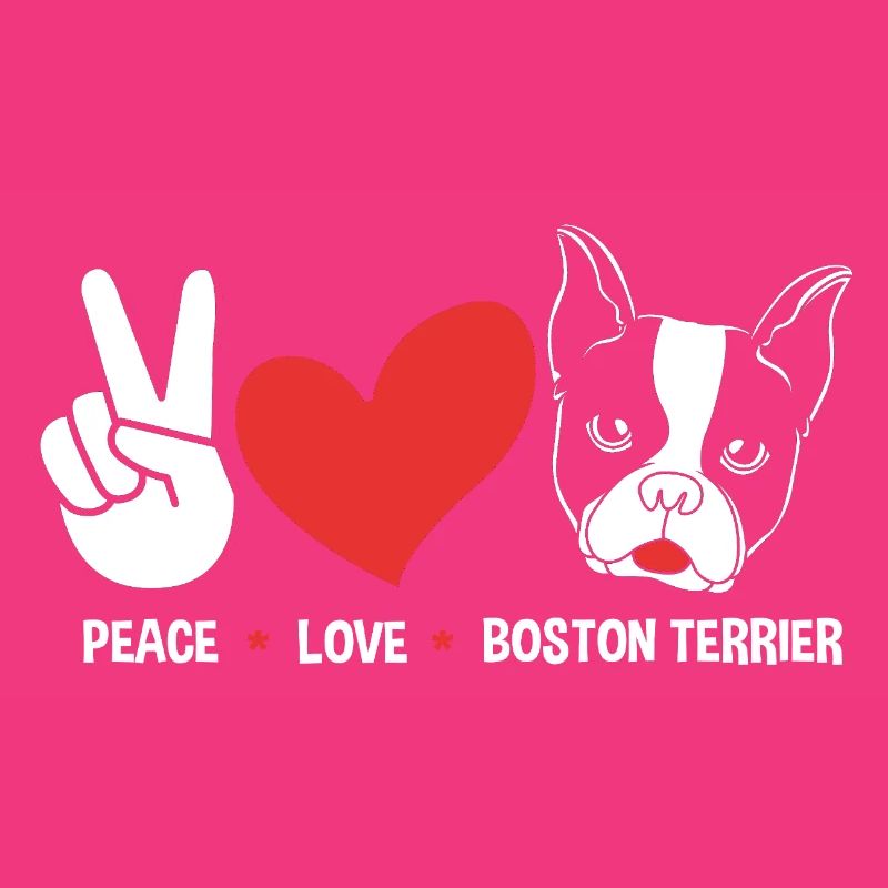 Boston Terrier