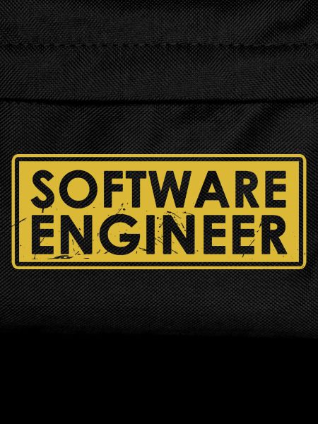 Software-Ingenieur