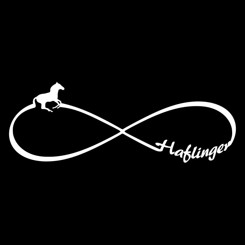 Haflinger Pferde freunde Pferderasse Infinity acht