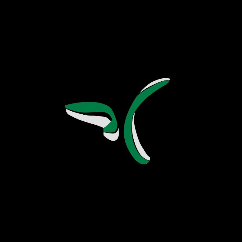 Gleitschirm Synchro Spirale