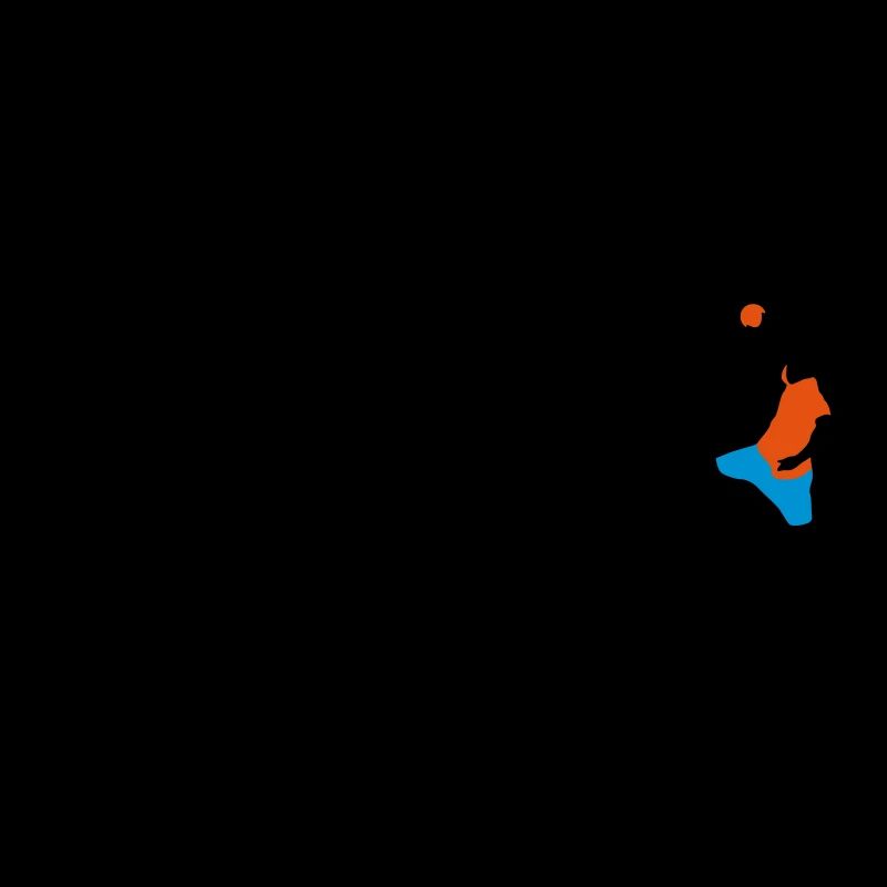 evolution_handball_102012_a_3c