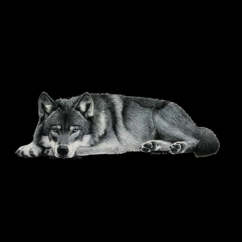 wolf