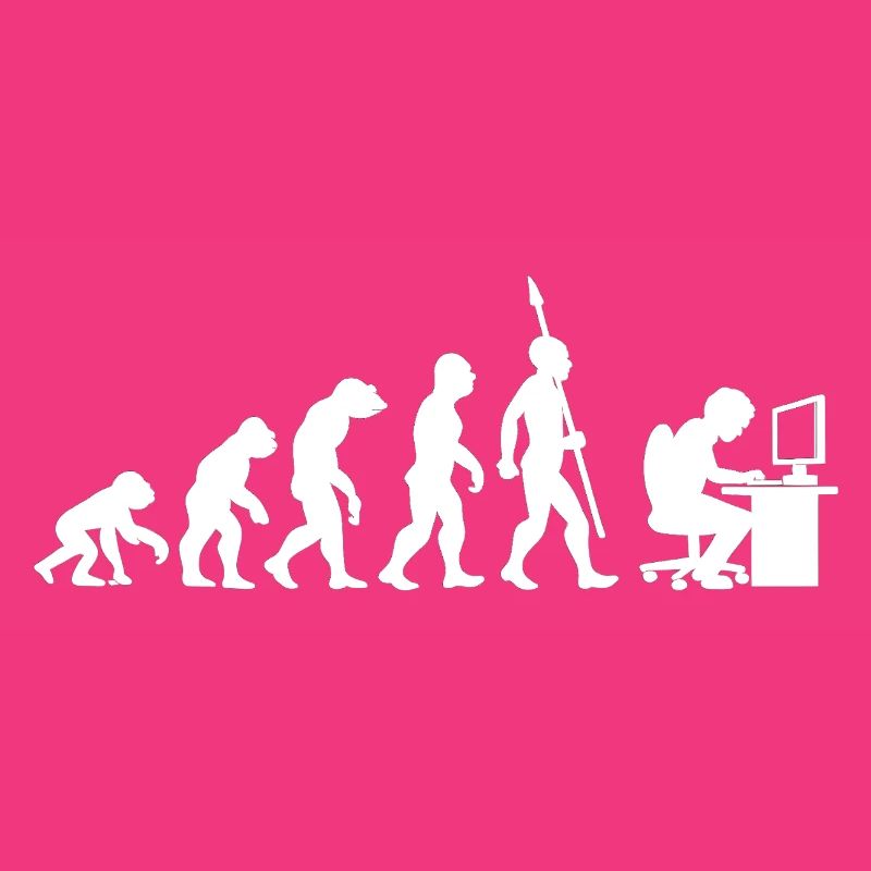 Informatique PC Evolution Programmeur Informatien