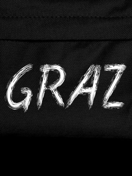 Graz Brush Street Art
