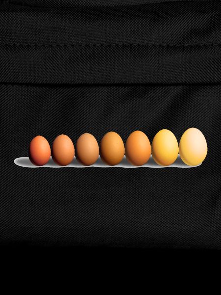 Eier