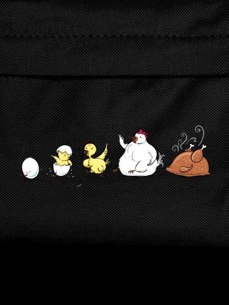 Evolution Of Chicken