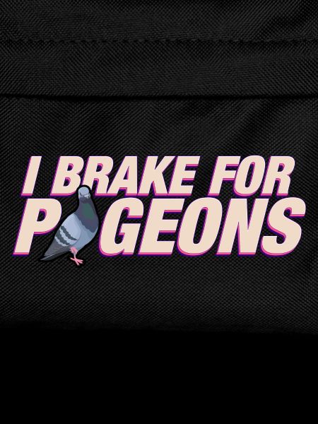 I brake for pigeons