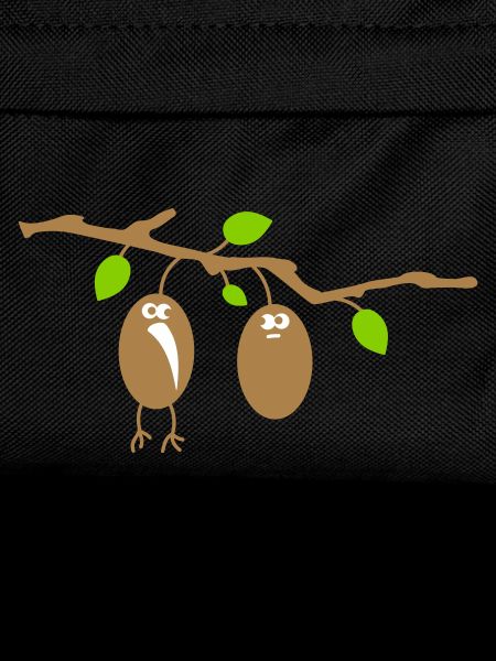two Kiwis