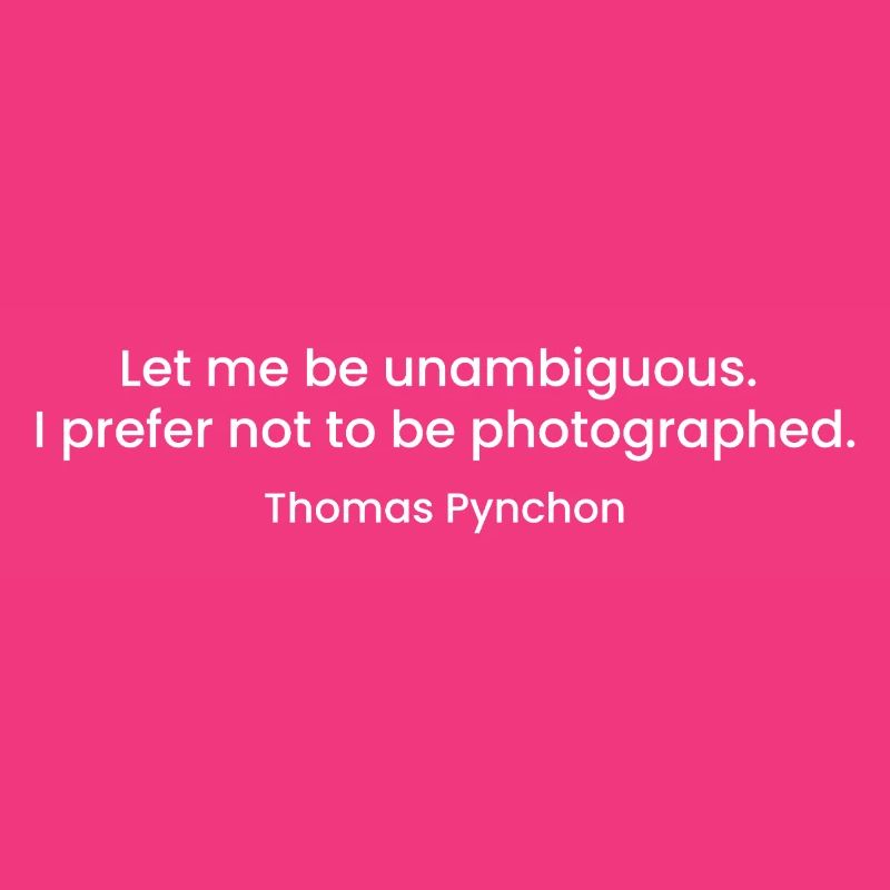 Thomas Pynchon quote