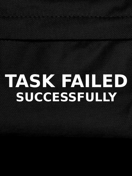 Task Failed Successfully