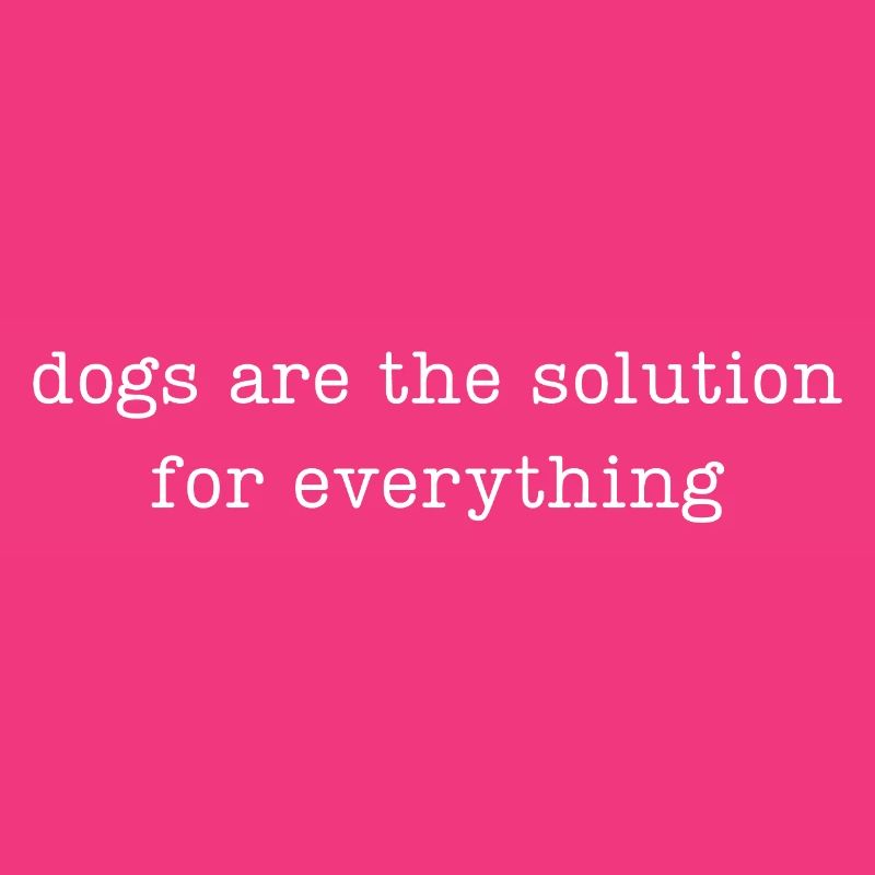 Les chiens sont la solution à tout