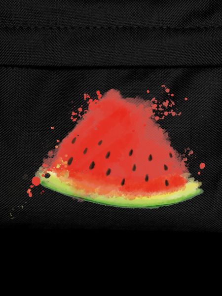 Melone - Wassermelone