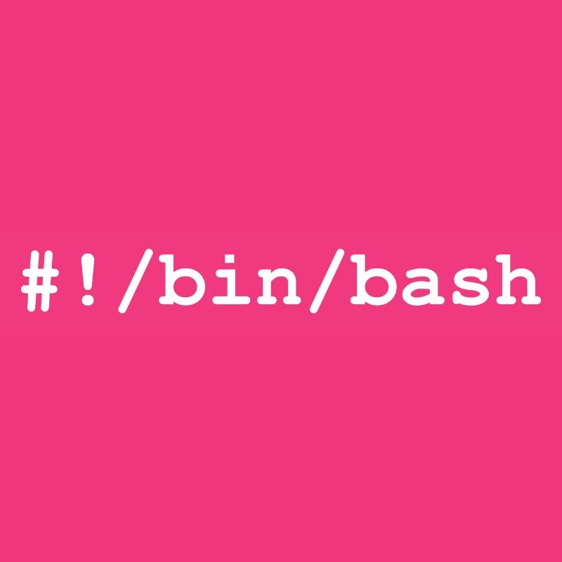 Shell bash / bourne-again sous Linux et Unix
