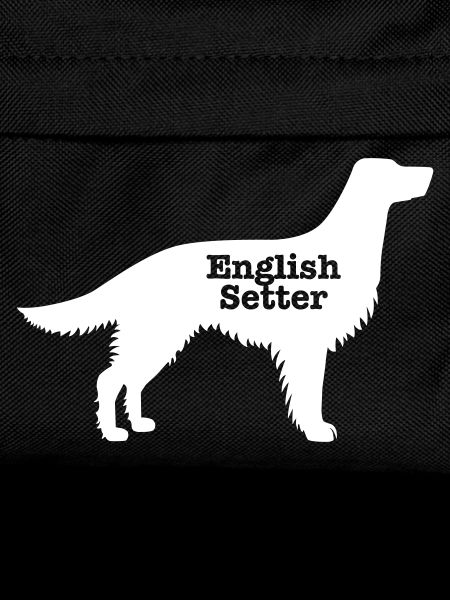 English Setter