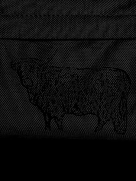 Scottish Highland cattle