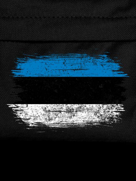 Blue-White Brushstroke Flag