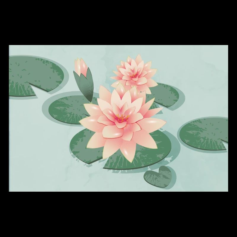 Water lily blossoms with bud in water lily pond