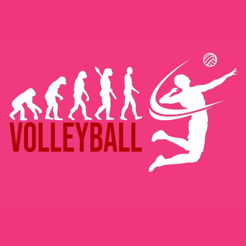 Evolution Volleyball