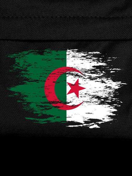 Algeria flag used