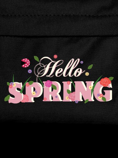 hello spring