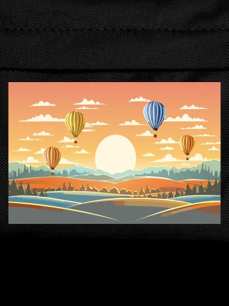 Hot Air Balloons
