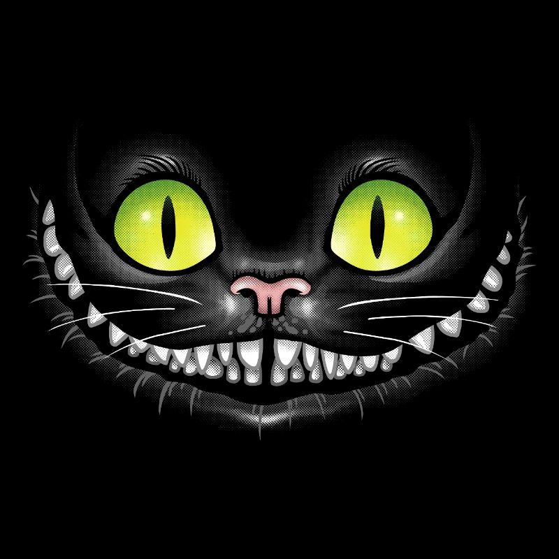 Chat noir sourit dans le noir