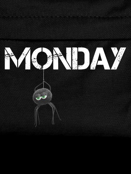 Monday Spider