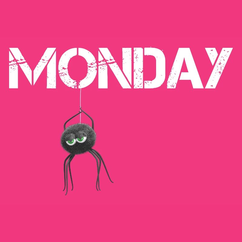 Monday Spider