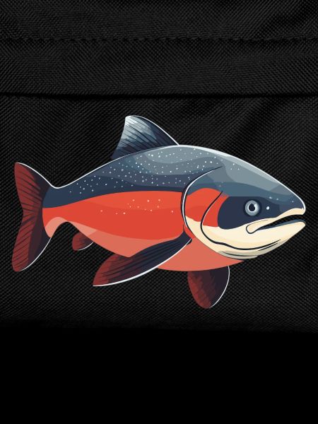 Salmon Salmon