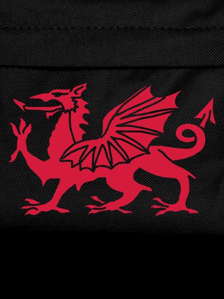 Welsh Dragon