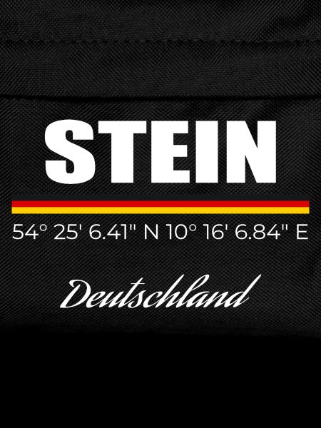 Stein