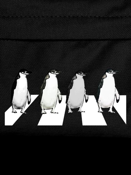 Abbey Road Penguins